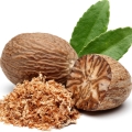 نت جوز هندی