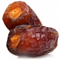 نت خرما