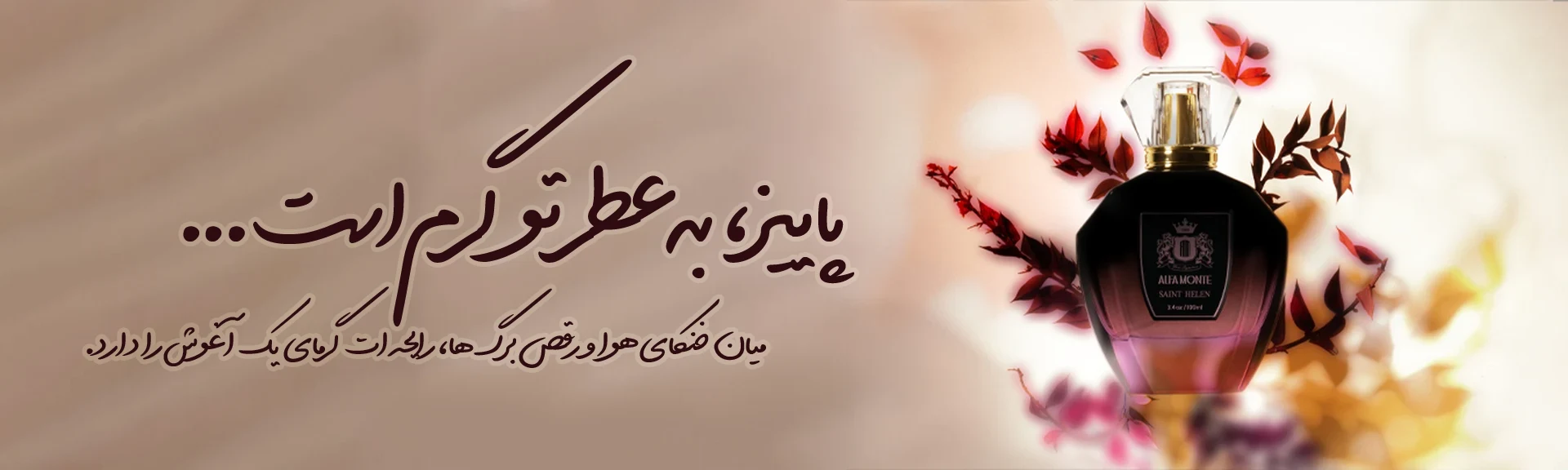عطر سنت هلن آلفامونته